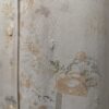 Fleeting flora - 04