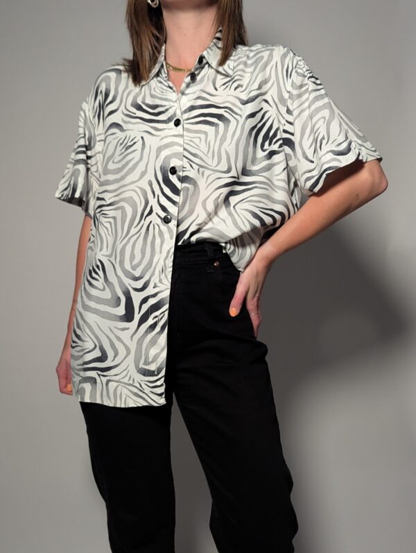 Zebra stride - 01