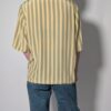 Sage stripe 03 Vintage gestreepte blouse met korte mouwen in saliegroen en lichtgeel met glanzende knopen.